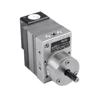 2K Gear  Pump.webp